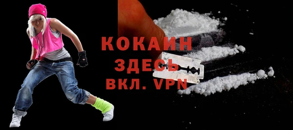 дурь Сатка