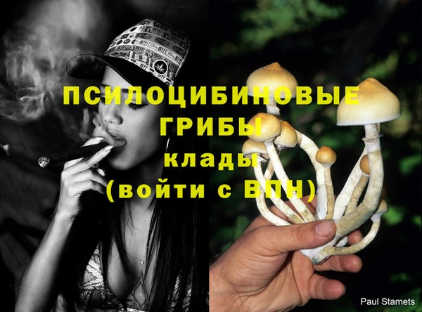 прущие крисы Абинск