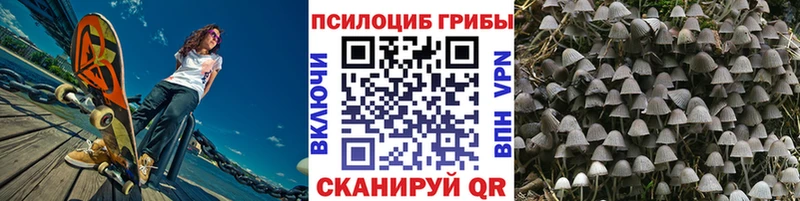 kraken как зайти Ивантеевка Псилоцибиновые грибы мухоморы купить сайты