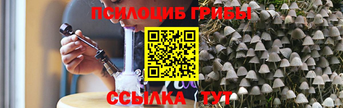 Ивантеевка  Псилоцибиновые грибы ЛСД  Вход с VPN 