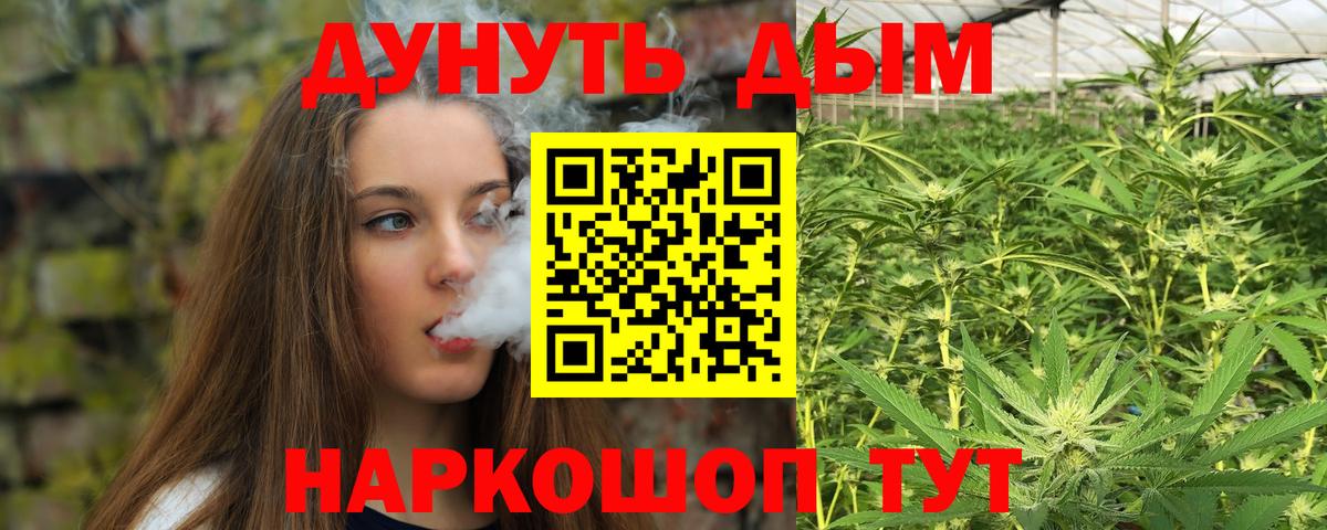 Бошки Шишки марихуана Ивантеевка